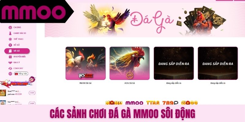 Các sảnh chơi đá gà MMOO sôi động