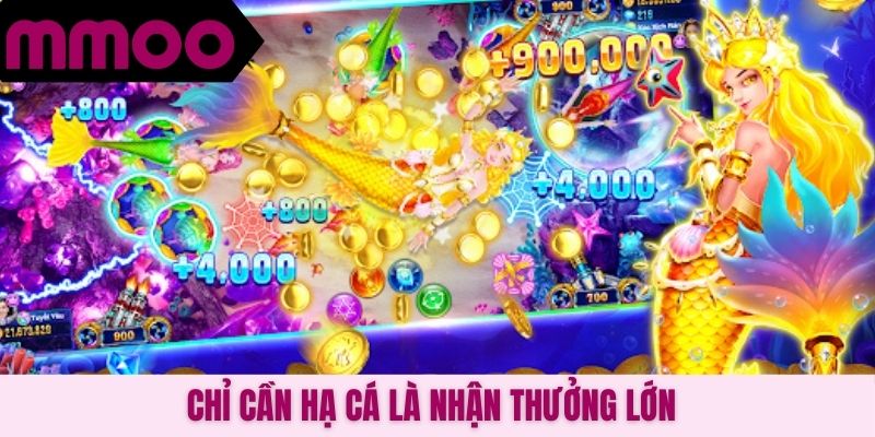 Chỉ cần hạ cá là nhận thưởng lớn