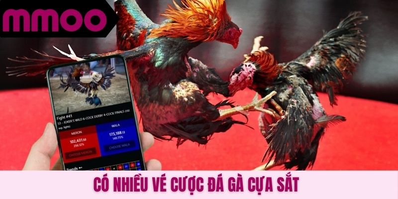 Có nhiều vé cược đá gà cựa sắt