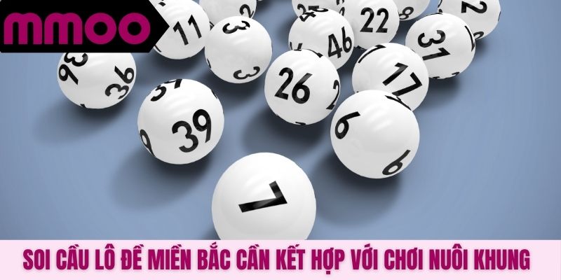 Soi cầu lô đề Miền Bắc cần kết hợp với chơi nuôi khung
